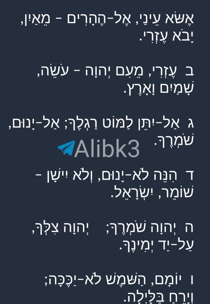 Settler Communities Ask for Prayers for Israeli Soldiers Amid Southern Lebanon Security Incidents