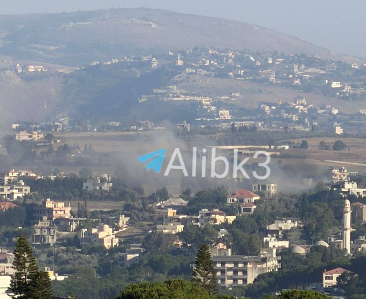 Patrol Raid on Enemy in Upper Nabatieh