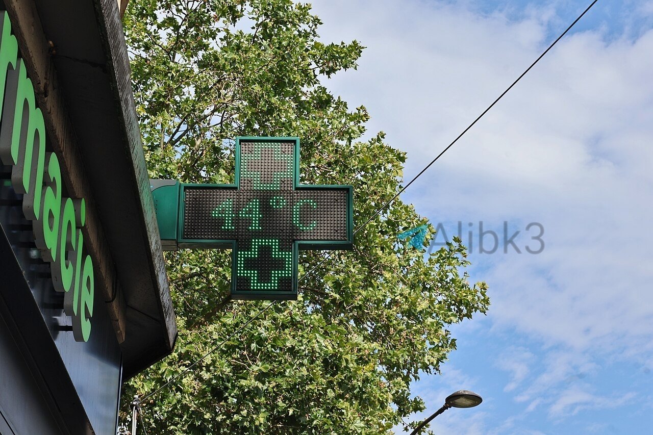 France Records Over 1,000 Heatwave Deaths