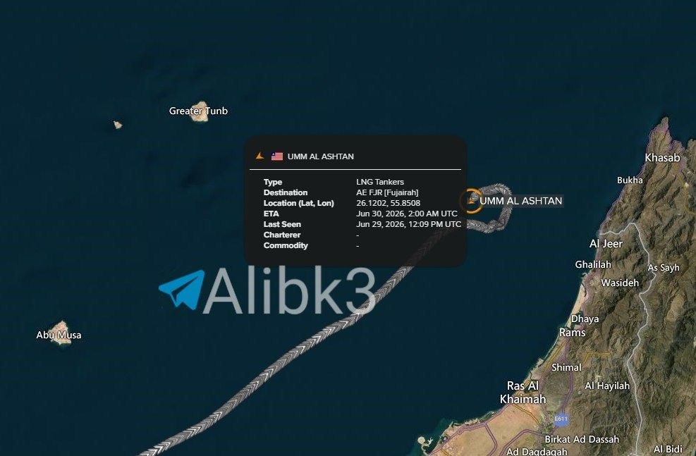 UAE LNG Carriers Halt Omani Route in Hormuz Strait