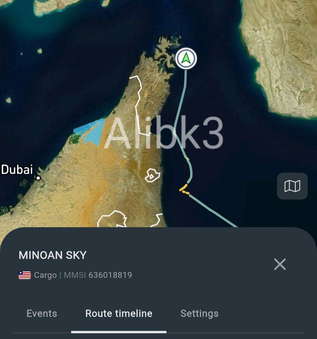 First Cargo Ship Crosses Strait of Hormuz Under US Air Cover