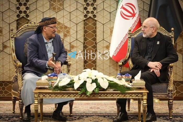 Iranian Parliament Speaker, Yemeni Vice President Trade Statements on War Readiness