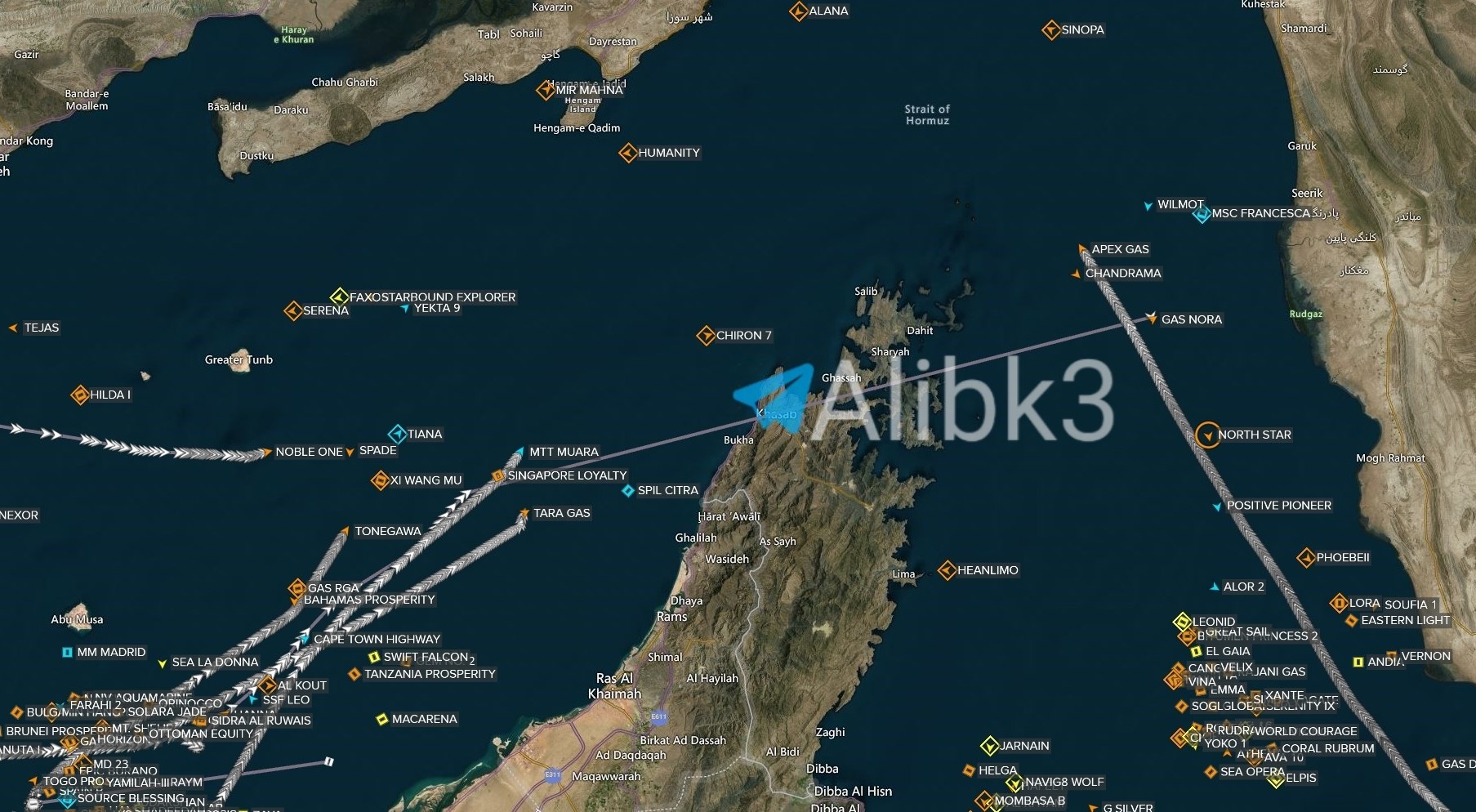 Qatari Gas Tanker Issues Distress Call in Strait of Hormuz
